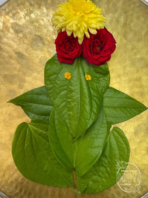 Try our Betel Leaves Ganesh this year for Ganesh Chathurthi Pooja. #hoovu #freshflowers #ganesh #ganeshchaturthi Ganesh With Leaves, Main Entrance Door Design, Main Entrance Door, Entrance Door Design, Ganesh Chaturthi, Entrance Door, Creative Mind, Andhra Pradesh, Main Entrance