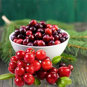 Cranberry Balsam Fragrance Oil | Natures Garden Scents Dried Potpourri, Simmering Potpourri, Tart Warmer, Candle Tart, Winter Fragrance, Soap Making Supplies, Candle Making Supplies, Holiday Scents, Nature Garden