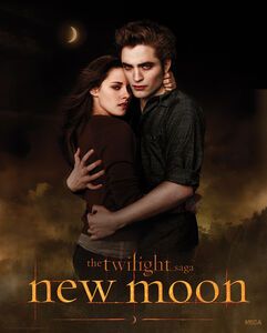 Twilight Desktop Wallpaper, New Moon Images, New Moon Movie, Twilight Party, Jacob And Bella, Twilight Wolf, Fantasy Romance Novels, Twilight Saga New Moon, Twilight Moon