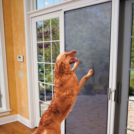 Dog Screen Door, Screen Door Protector, Pet Couch Cover, Door Protector, Pet Door, Cool Doors, Window Screens, Door Kits, Dog Door