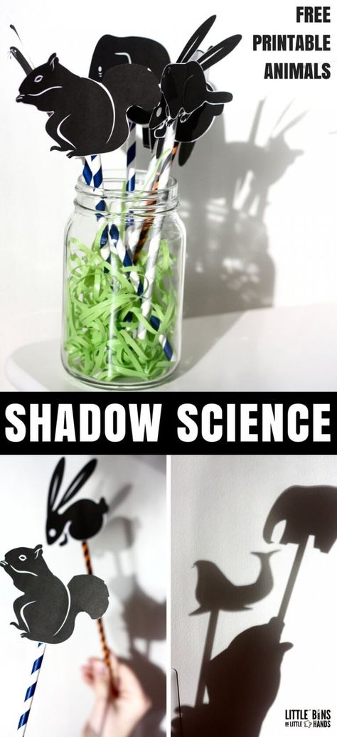 Set up simple and fun science with animal silhouette puppets! Check out this cool shadow science physics activity perfect for playful science kids will love! Fun all year long or as a special Ground hogs day activity. This shadow science activity includes free printable animal sheets. Shadow Science Activities, Ground Hogs Day, Animal Science Experiments, Shadow Experiments, Ground Hogs, Shadow Activities, Groundhog Day Activities, Science Kids, Science Physics