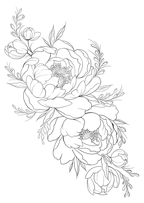 Peonies Outline Drawing, Peony Outline Drawing, Japanese Peony Drawing, Floral Outline Tattoo, Peony Outline Tattoo, Peony Flower Outline, Peonies Outline, Floral Outline Drawing, Peony Drawings