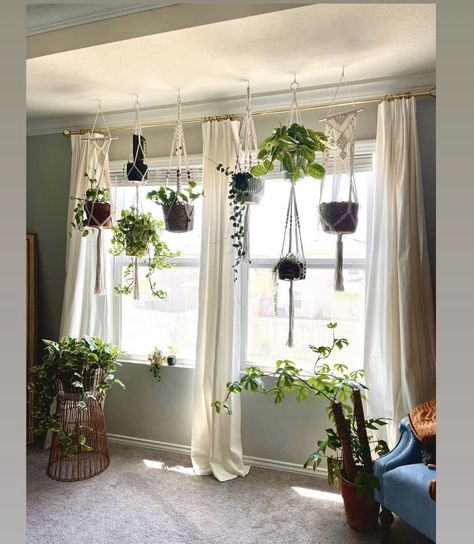 Tall Plant Shelf Indoor, Living Room Window Plant Decor, Hanging Plants With Curtains, Hanging Plants In Window With Curtains, Plant Room Curtains, Indoor Plant Display With Grow Lights, Plants Hanging From Ceiling Living Rooms, Plants Hanging In Front Of Window, Hang Plants In Front Of Window