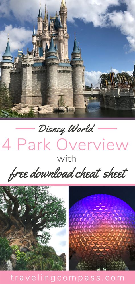 What Disney Parks To Visit, Disney World Parks And Rides, Disney Cheat Sheet, Disney World Cheat Sheet, Disney World Parks Orlando, Disneyworld 2024, Disney Savings, Sister Trip, Big Mouse