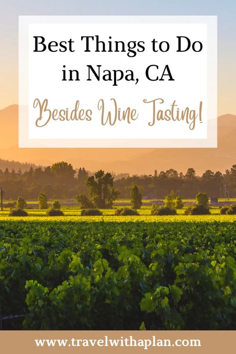 Napa Valley scenery Things To Do In Napa Besides Drink, Napa Valley Things To Do, Napa Things To Do, Sonoma Itinerary, Things To Do In Napa, Napa Wine Tasting, California With Kids, Napa Trip, Napa Valley California