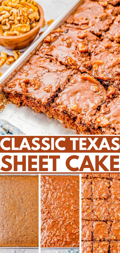 Texas Sheet Cake –  An EASY no-mixer recipe for classic Texas sheet cake that's so rich in chocolate flavor thanks to the moist chocolate cake itself and to the chocolate frosting with walnuts for a bit of crunch in every bite! Ready in less than 1 hour, and it feeds a crowd, making this a perfect party or celebration cake any time of year! Old Fashioned Texas Sheet Cake, Cake Sheet, Cake Recipes For Beginners, Texas Sheet, Averie Cooks, Easy Pasta Dinner, Texas Sheet Cake, Dessert Recipies, Sheet Cake Recipes