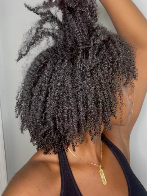 Healthy Curly Hair Black Women, Natural Hair Goals Black Women, Healthy 4c Hair Aesthetic, Healthy 4c Natural Hair, Long 4b Hair, 4c Curls, Curly Afro Hair, 4a Natural Hair, Hair Patterns