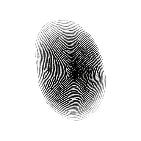 Finger Print, Png Transparent Background, New Shows, Png Transparent, Aesthetic Photography, Fingerprint, Drawing Sketches, Transparent Background, Royalty Free