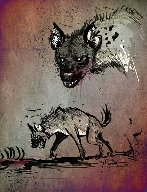 Lion King Tattoo, Animal Illustration Art, Wow Art, Wild Dogs, Animal Sketches, Hyena, Creature Design, A Drawing, Animal Illustration