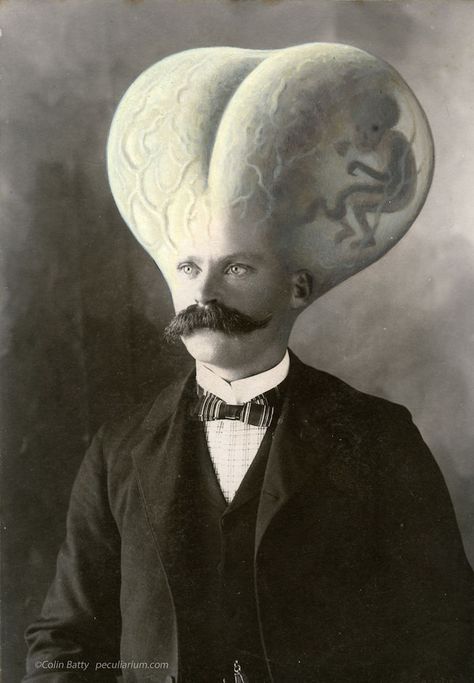 Colin Batty amusingly (and believingly!) adds strange details to old photos from the early 1900s Surreal Portrait, Early Photos, Altered Photo, Cabinet Card, Wow Art, Pop Surrealism, Vintage Portraits, Salvador Dali, British Artist