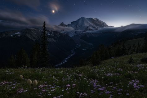 An idyllic mountain scene with a flowery meadow, winding river, snowy peaks, pine trees, and low-hanging clouds all of which are overshadowed by a beautiful starry night. Night In Nature, Foggy Forest Mountain, Mountains At Night Aesthetic, Forest Sky View, Foggy Aesthetic Hill, Mountain Valley Aesthetic, Night Time Mountains, Top Of Mountain Aesthetic, Mountain Painting Night