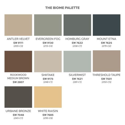 We review BIOME, one of the palettes created by Sherwin Williams for 2023 Paint Colours 2023, Living Room Paint Colours, Colours 2023, Bronze Color Palette, Sherwin Williams Paint Neutral, Brown Tile Bathroom, Bedroom 2022, Sherwin Williams Color Palette, Family Room Paint Colors