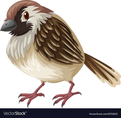 Sparrow Illustration, Sparrow Drawing, Sparrow Tattoo Design, Baby Sparrow, Sparrow Tattoo, Zestaw Ikon, Feather Vector, Scrapbook Images, Bird Sketch