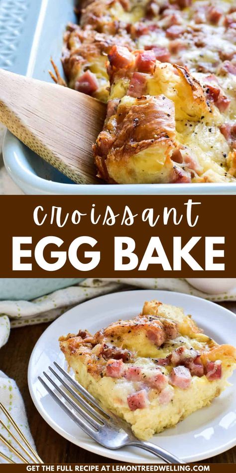 This Ham & Cheese Croissant Egg Bake is the ultimate breakfast dish. It combines the classic flavors of ham & Swiss in a delicious breakfast casserole that's prepared the night before and oven-ready when you wake up! Ham Croissant Breakfast Casserole, Ham Egg Cheese Potato Breakfast Casserole, Breakfast Crossiant Ideas, Egg Casseroles For A Crowd, Crescent Roll Breakfast Recipes Ham, Ham Crescent Roll Recipes, Egg Croissant Casserole, Egg Ham And Cheese Casserole, Ham Egg And Cheese Croissant