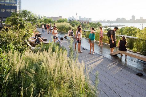 Manchester Maze - a green space on bridges and embankments linking the city to Salford would become a hive of social activity, say planning bosses New York High Line, Highline Nyc, Shop Architects, Visit New York, High Line, Rooftop Garden, Financial District, New York Style, Roof Garden