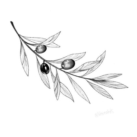 Olive Branch Drawing Tattoo, Delicate Olive Branch Tattoo, Greek Olive Tattoo, Oliver Branch Tattoo, Olive Tattoo Design, Olive Tattoo Branch, Olive Leaf Tattoo Design, Olive Wreath Tattoo, Olive Leaf Drawing