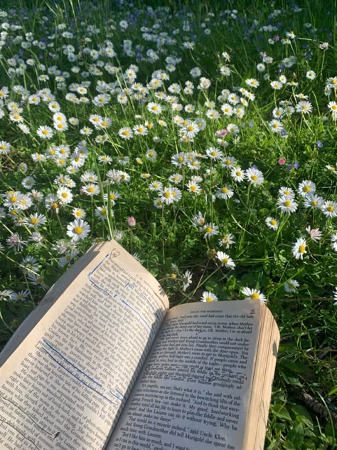 Tehreem Core, English Major Aesthetic Wallpaper, English Major Aesthetic, Zainab Core, Ivana Core, Reading In The Garden, English Major, Picnic Date, Spring Aesthetic