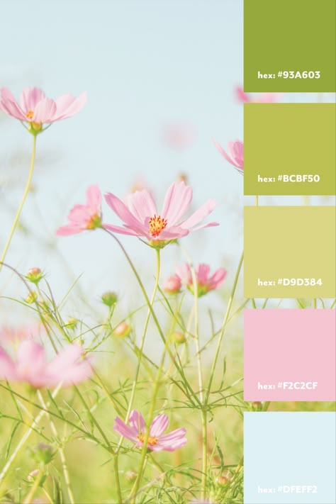 Pastel Pink Blue Green Palette, Pastel Green And Pink Color Palette, Green Summer Color Palette, Lime Green And Pink Aesthetic, Lime Green And Pink Color Palette, Pink Gold Green Color Palettes, Light Blue Pink Green Color Palette, Pastel Nature Color Palette, Pink Green Blue Palette