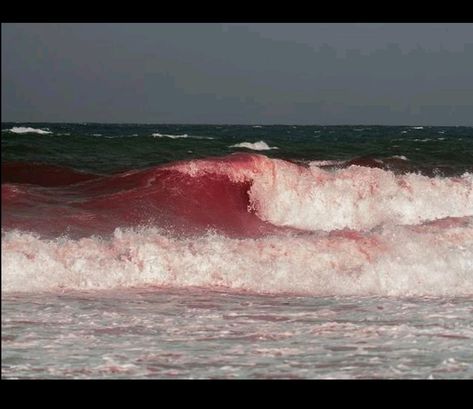 رعب نفسي, Blood Art, In The Ocean, Naan, Dark Aesthetic, The Ocean, Aesthetic Pictures, Just In Case, A Man