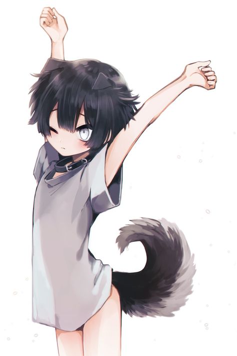 Anime Puppy, Anime Cat Boy, Neko Boy, Anime Traps, Cat Boys, Boy Dog, Anime Cat, Animal Ears