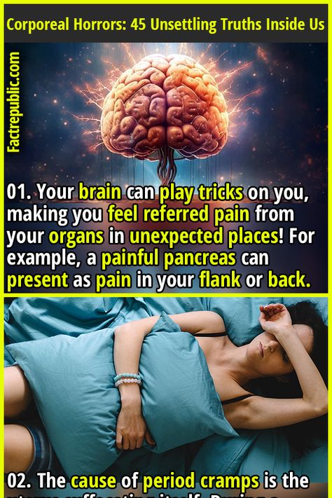 Interesting Facts About Humans, Back Health, Science Knowledge, Referred Pain, Human Body Facts, Facts About Humans, Psychological Facts Interesting, Fact Republic, Science Fact