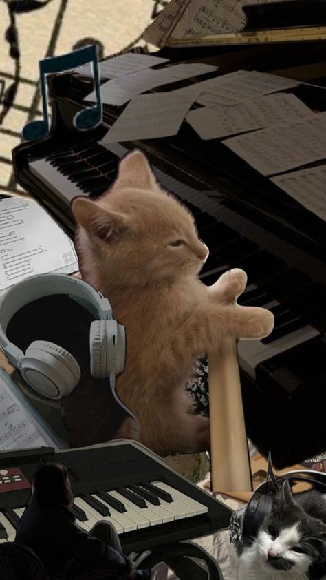 I like cat with piano. Cat With Piano, Cat And Piano, Cute Piano, Orchestra Humor, Piano Wallpaper, Cat Wallpapers, Cat Wallpaper, Orchestra, Piano