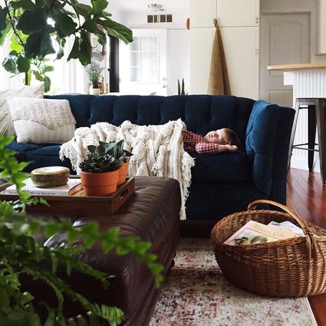 Blue Sofa Pottery Barn, Navy Blue Bohemian Living Room, Apartment Aesthetic Blue Couch, Navy Velvet Couch Living Room, Navy Apartment Decor, Dark Blue Sofa Living Room Decor, Blue Velvet Couch Living Room Ideas, Navy Blue Couch Living Room Decor, Dark Blue Couch Living Room Decor