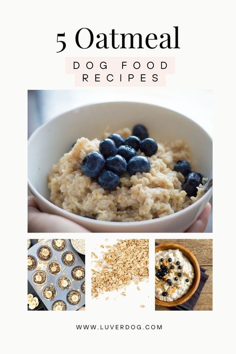 Top 5 Homemade Dog Food With Oatmeal Doggie Breakfast Recipes, Dog Oatmeal Food, Breakfast Dogs Recipes, Oatmeal Recipe For Dogs, Oatmeal Recipes For Dogs, All Natural Dog Food Recipes, Homemade Breakfast Food For Dogs, Homemade Dog Food Breakfast, Puppy Breakfast Recipes