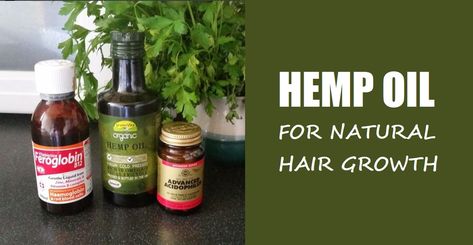 https://jostylin.com/hemp-oil-natural-hair-growth-4c-black-african-hair/ Hemp Seed Oil For Hair Growth, Indian Hemp Hair Growth, Hair Growth 4c, Hemp Oil For Hair, Black African Hair, Black Hair Growth, Hair Growth Foods, Best Natural Hair Products, Make Hair Grow