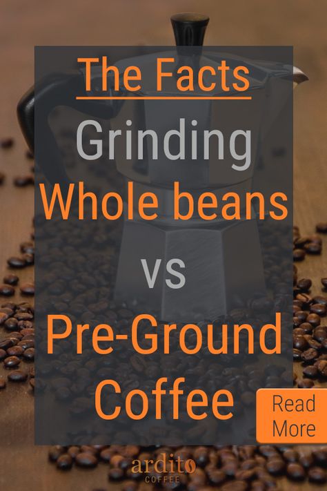 Different Kinds Of Coffee, Bunn Coffee Maker, Raw Coffee Beans, Types Of Coffee Beans, Kinds Of Beans, Coffee Review, Coffee Reading, Best Beans, Gourmet Coffee