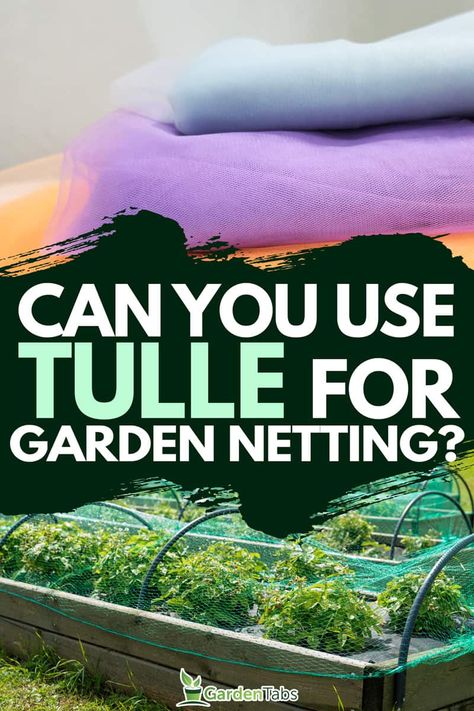 Garden Netting: Protecting Your Berries with Tulle Diy Bird Netting For Garden, Garden Netting Ideas, Garden Tips And Tricks, Netting For Garden, Netting Fabric, Garden Hooks, Bacterial Diseases, Bird Netting, Garden Netting