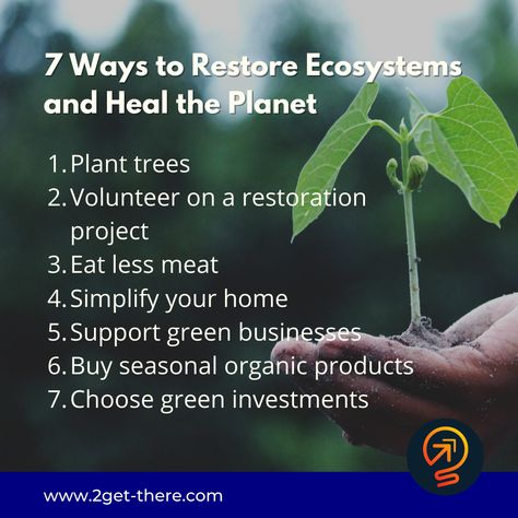 Ecosystem restoration means assisting in the recovery of ecosystems that have been degraded or destroyed, as well as conserving the ecosystems that are still intact. Here are some ways to how you can help to restore the ecosystem and heal the planet. #business #ecosystem #ecosystemrestoration #sustainablebusiness Ecosystem Restoration, Business Ecosystem, Environmental Conservation, Green Business, Self Reliance, Sustainable Business, How To Eat Less, Ecosystem, Around The Corner