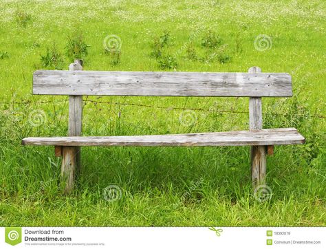 Wooden Park Bench, Bench Rest, Old Benches, Tree Autumn, Alaska Highway, Gray Tree, Grassy Field, Rest Area, Summer Landscape