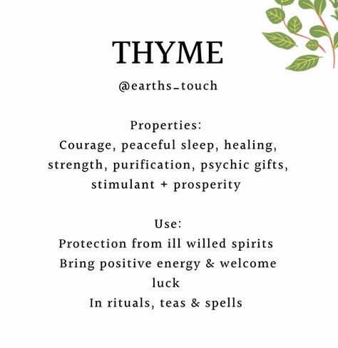 Witch Ingredient Meanings, Properties Of Herbs Witchcraft, Thyme Witch Uses, Thyme In Witchcraft, Thyme Witch Craft, Thyme Meaning Witchcraft, Thyme Properties Magic, Burning Herbs Witches, Thyme Magical Properties