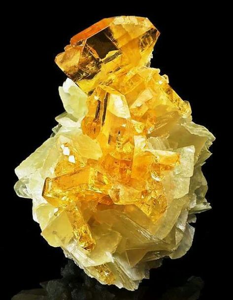 Golden Barite on calcite Baryt BaSO4 7.AD.35 Baryt - Gruppe . Baryt-Celestine-Serie . Das Barium-Analogon von Celestine und Anglesite . 7: SULFATE (Selenate, Tellurate, Chromate, Molybdate, Wolframate) A: Sulfate (Selenate etc.) ohne zusätzliche Anionen ohne H 2 O D: Mit nur großen Kationen Yellow Crystals, Rock Minerals, Lampe Decoration, Puppy Chow, Pretty Rocks, Beautiful Rocks, Calcite Crystal, Mineral Stone, Rocks And Gems