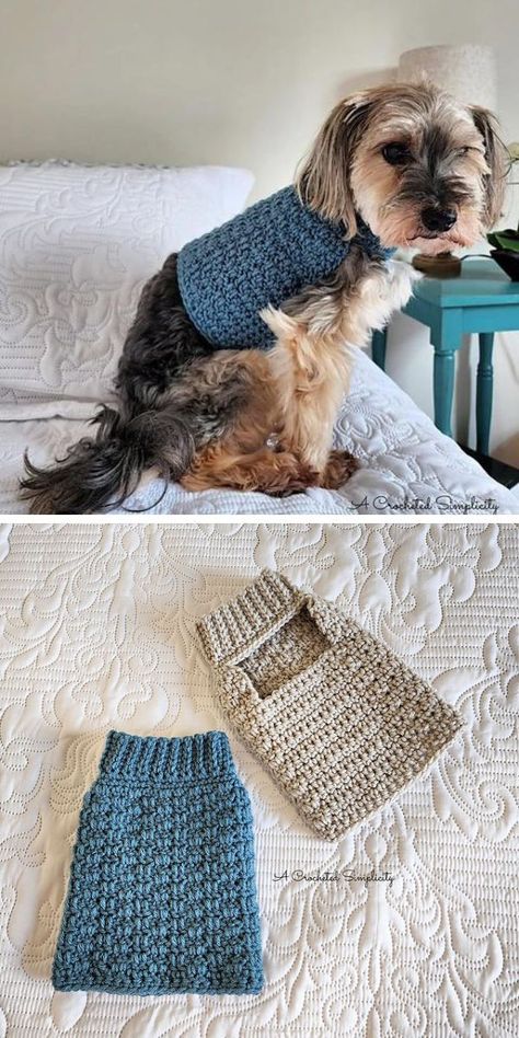 17 Cozy Dog Coats, Sweaters, and Jumpers for Happy Walks Dog Crochet Sweater, Small Dog Crochet, Dog Jumper Pattern, Dachshund Dog Sweaters, Crochet Dog Sweater Free Pattern, Dog Dress Pattern, Crochet Dog Clothes, Dog Coat Pattern, Dachshund Sweater