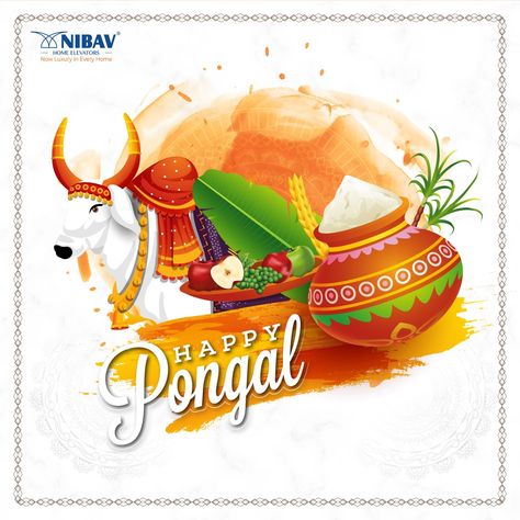 HAPPY MATTU PONGAL #pongalwishes #mattupongal #pongalcelebration #nibavhomeelevator #homelifts Happy Mattu Pongal, Mattu Pongal, Happy Pongal, House Elevation, Daily Inspiration Quotes, Inspiration Quotes, Daily Inspiration, Cute Wallpapers, Inspirational Quotes