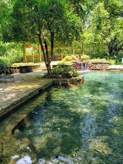 Swimming Pool That Looks Like A Pond, Natural Lake Pool, Forest Pool Backyards, Natural Pool With Waterfall, Pools That Look Like Ponds, Pool That Looks Like A Pond, Pond Pools Backyard, Swimming Ponds Backyard, Natural Ponds Backyard