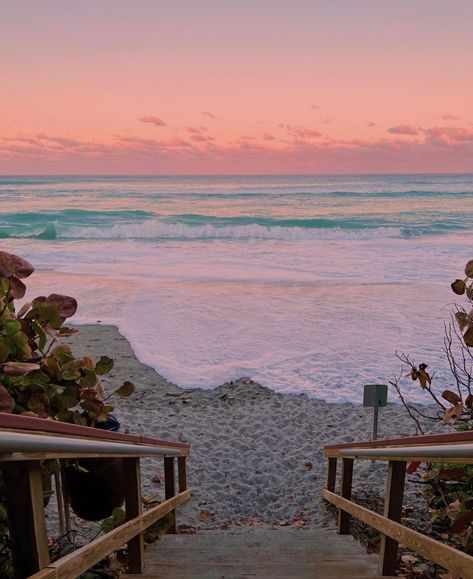 Sunshine State® on Instagram: “Stairway to heaven 🌊 ☀️⁠ #sandybeach #floridabeauty⁠ #sunshinestate #sunshinestategoods #jupiter⁠ PC: @jupiterphotogirl_2.0” Ruled By Jupiter Aesthetic, Jupiter Beach Florida, Jupiter Aesthetic, Jupiter Beach, Jupiter Florida, Jupiter Fl, Coastal Life, Summer 2025, Stairway To Heaven