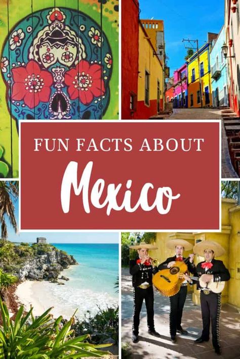 Mexico Door Decorations Classroom, Mexico Geography, Fun Facts About Mexico, Multicultural Fair, Mexico For Kids, History Of Mexico, Mexican Ideas, Mexico Crafts, New Mexico History