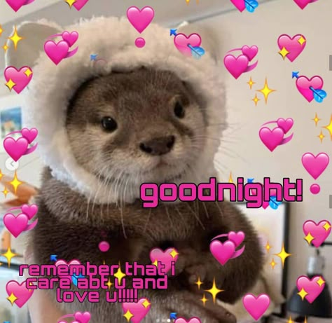 wholesome otter goodnight reaction pic Otter Memes Love, Cute Goodnight Reaction Pic, Text Back Reaction Pic, Reaction Pictures Goodnight, Good Night Reaction Pic Cute, Gn Reaction Pic, Otter Reaction Pics, Goodnight Wholesome, Night Reaction Pic