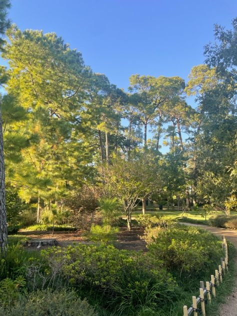 The Japanese Garden at Hermann Park in Houston, TX in 2023 Smither Park Houston, Houston Arboretum, Memorial Park Houston, Seismique Houston, Herman Park Houston Photography, Houston Parks, Hermann Park, Japanese Garden, Houston