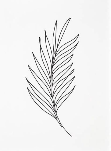 Palm Leaf Tattoo, Pottery Illustration, Herb Tattoo, Blatt Tattoos, Fern Tattoo, Branch Tattoo, Line Art Images, 3d Art Drawing, Plant Tattoo