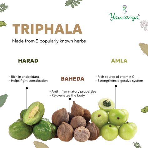 Rasayana Ayurveda, Triphala Benefits, Ayurvedic Nutrition, Amla Benefits, Sunflower Seeds Benefits, Ayurveda Herbs, Herbalife Products, Seeds Benefits, Ayurvedic Recipes