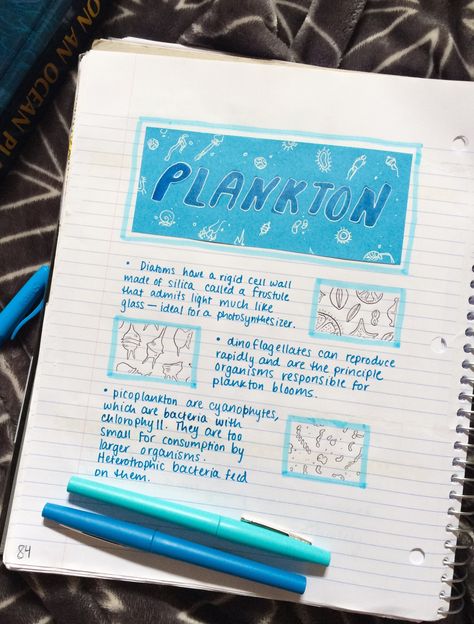 Marine Biologist Tattoo, Marine Science Notes, Marine Biology Notes Sharks, Marine Biology Study Notes, Marine Biologist Aesthetic Notes, Marine Biology Notebook, Marine Biology Major, Marine Biology Journal, Marine Biologist Notes