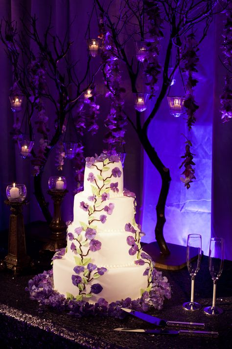 Purple Quinceanera Theme Night Lights, Dark Purple And Silver Wedding, Dark Purple Themed Wedding, Royal Purple Sweet 16, Dark Purple Sweet 16 Nails, Dark Purple Birthday Decorations, Purple And Black Quince, Dark Sweet 16 Theme, Dark Purple And Gold Quinceanera Dresses