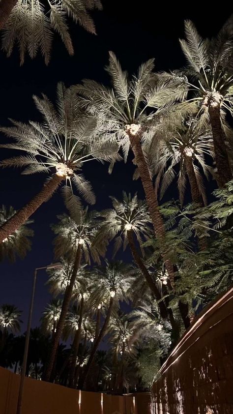 Saudi Aesthetic, Summer Instagram Pictures, Saudi Arabia Culture, Black Widow Aesthetic, In The Pale Moonlight, Riyadh Saudi Arabia, Bee Wall, Lets Get Lost, Badass Aesthetic