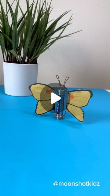 DIY electronics, stem and science activities for beginners on Instagram: "DIY “Yellow butterfly” homopolar motor. Easy and fun electronics project for beginners.
You will need:
- Bare copper wire (without antioxidant layer)
- AAA battery
- Magnets (neodymium)
- Tracing paper 
- Markers

Warning: this project should be done under adult supervision.

Order supplies here: https://www.amazon.com/shop/moonshotkidz

#stem #stemlearning #stemeducation #stemteacher #stemactivities #science #papercircuit #papercraft #crafts #easycraft #scienceteacher #scienceexperiment" Easy Butterfly Crafts For Kids, Science Projects For High School, Easy Science Projects For Kids, Experiments For Kids Easy, Butterfly Crafts For Kids, Steam Activities For Kids, Homopolar Motor, Easy Science Experiments For Kids, Science Exhibition Projects