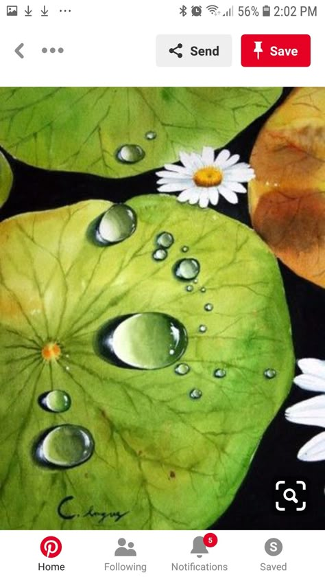 Ikan Air Tawar, Koi Painting, Lotus Painting, Soft Pastel Art, Drops Of Water, Rock Painting Designs, Nature Art Painting, Fish Painting, Color Pencil Art