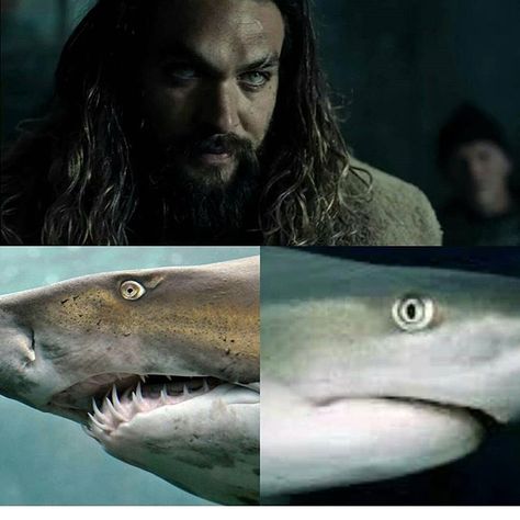 😱 so badass😱 @prideofgypsies / 🌊🔱Aquaman🔱🌊 Shark Eyes, Art Spiderman, Dc Superman, Avengers Art, Batman Dc, Batman V, Aquaman, Jared Leto, Dc Universe